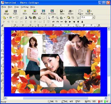 You can make your own photo collage with a few clicks.